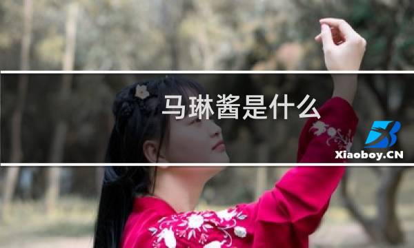 马琳酱是什么