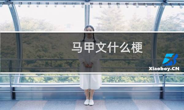 马甲文什么梗