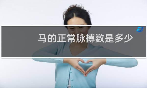 马的正常脉搏数是多少