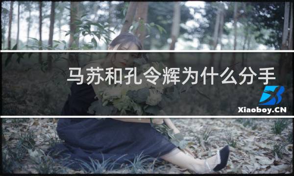 马苏和孔令辉为什么分手