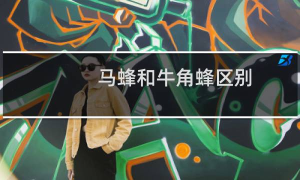 马蜂和牛角蜂区别（马蜂和牛角蜂区别）
