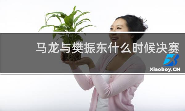 马龙与樊振东什么时候决赛