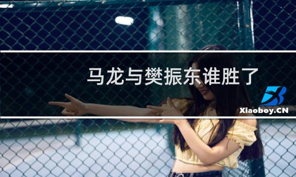 马龙与樊振东谁胜了