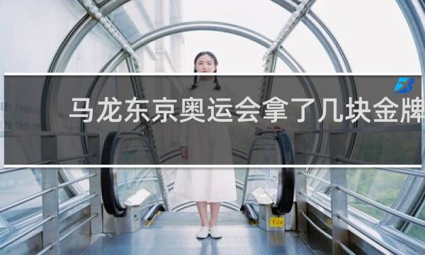 马龙东京奥运会拿了几块金牌