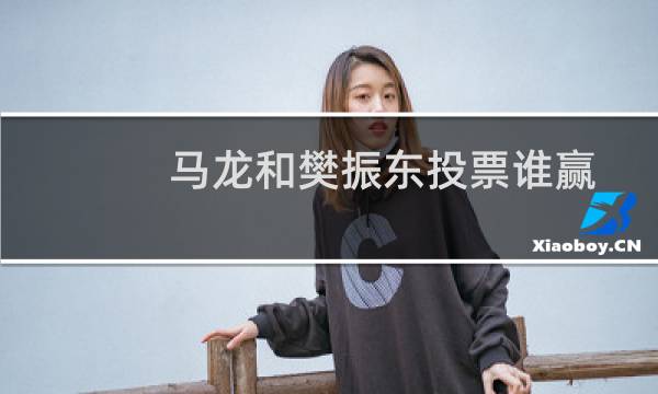 马龙和樊振东投票谁赢