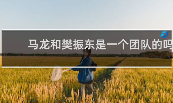 马龙和樊振东是一个团队的吗