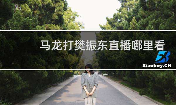 马龙打樊振东直播哪里看