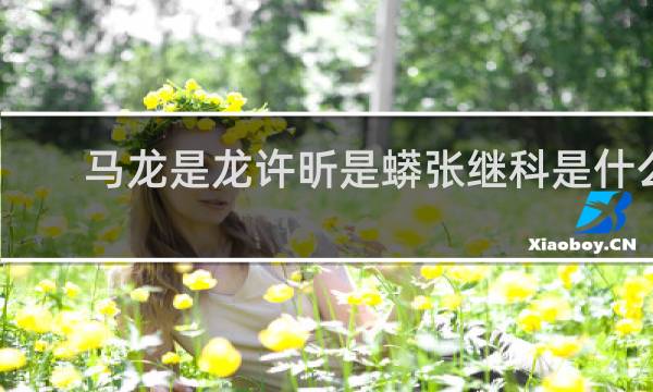 马龙是龙许昕是蟒张继科是什么