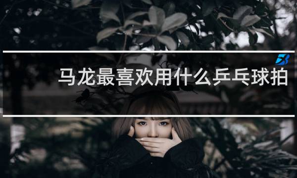 马龙最喜欢用什么乒乓球拍