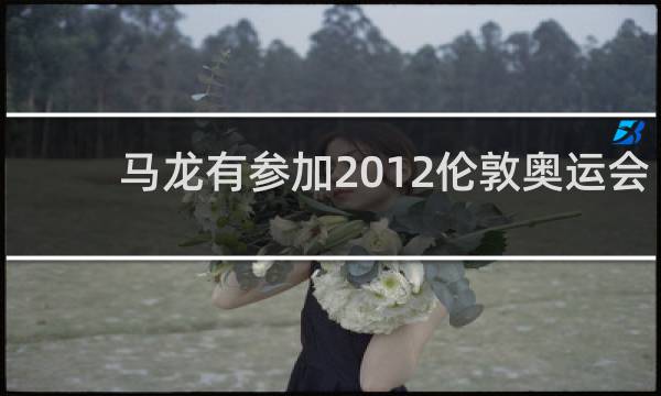 马龙有参加2012伦敦奥运会吗