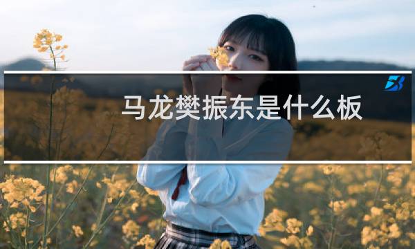马龙樊振东是什么板