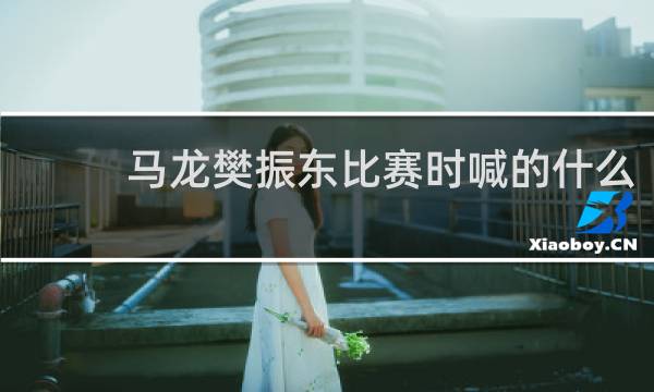 马龙樊振东比赛时喊的什么