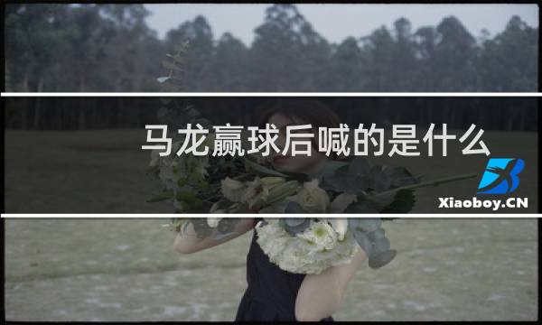 马龙赢球后喊的是什么