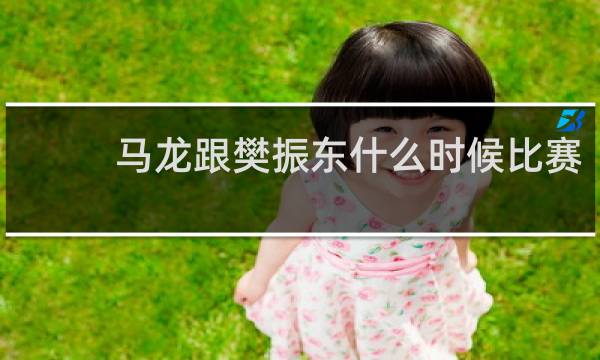 马龙跟樊振东什么时候比赛