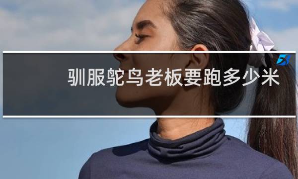 驯服鸵鸟老板要跑多少米