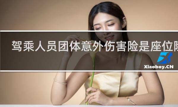 驾乘人员团体意外伤害险是座位险吗