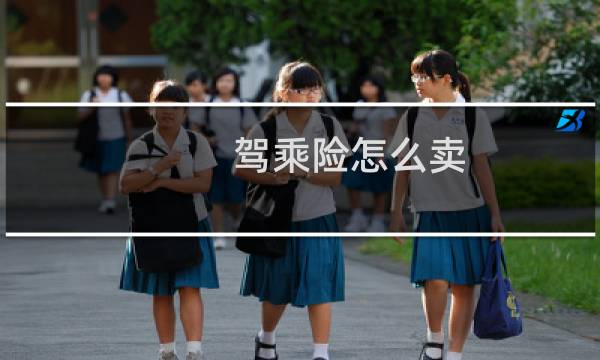 驾乘险怎么卖