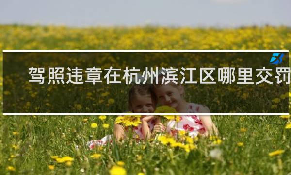 驾照违章在杭州滨江区哪里交罚款