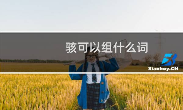 駭可以組什么詞