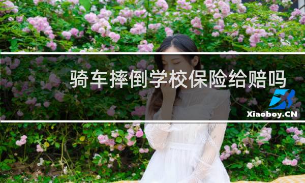 骑车摔倒学校保险给赔吗