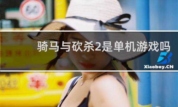 骑马与砍杀2是单机游戏吗