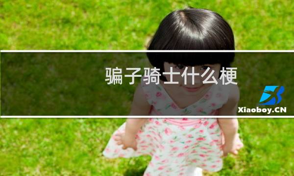 骗子骑士什么梗