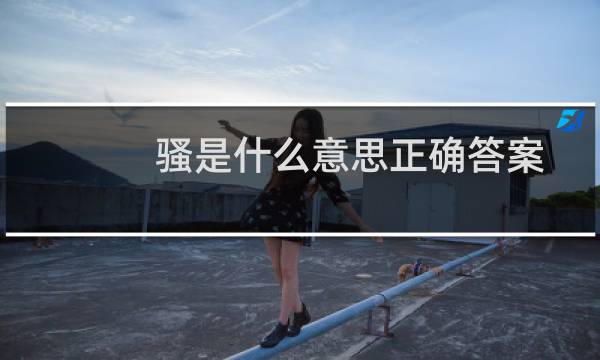 骚是什么意思正确答案（骚是什么意思）