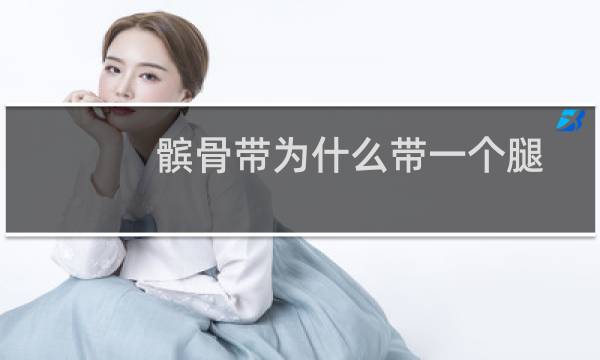 髌骨带为什么带一个腿