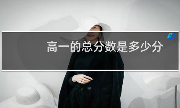 高一的总分数是多少分