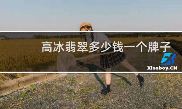 高冰翡翠多少钱一个牌子
