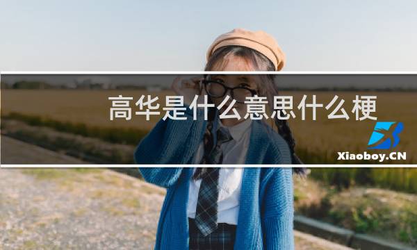 高华是什么意思什么梗