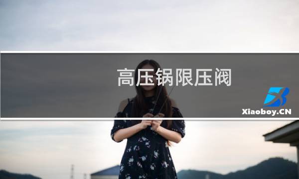 高压锅限压阀图片