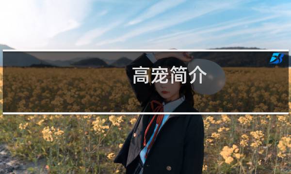 高宠简介，高宠怎么死的，高宠挑滑车图片