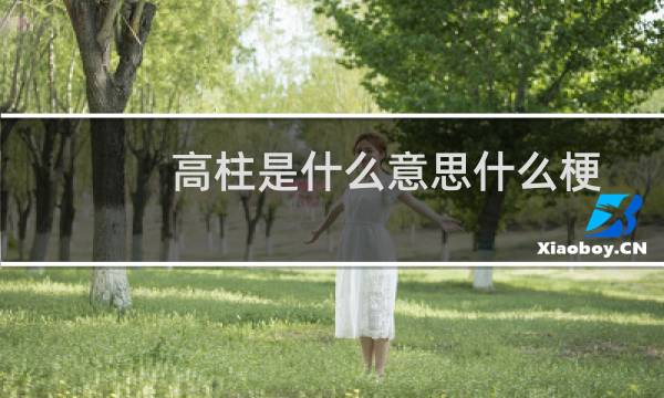 高柱是什么意思什么梗