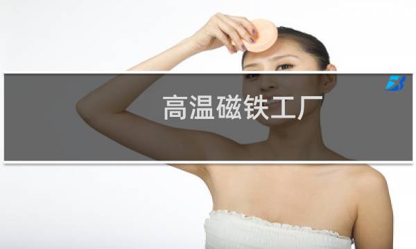 高温磁铁工厂