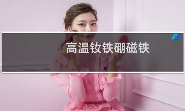 高温钕铁硼磁铁