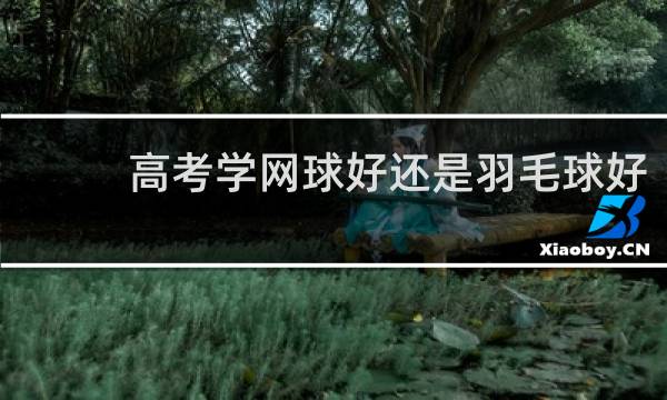 高考学网球好还是羽毛球好