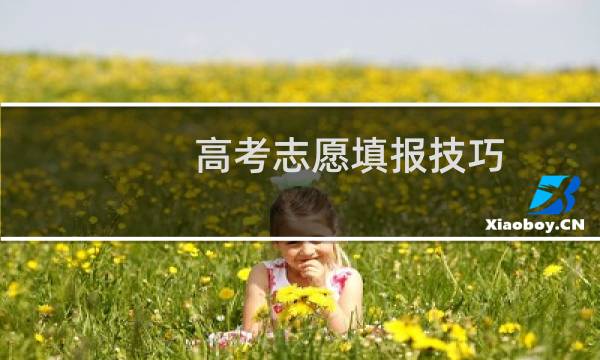 高考志愿填报技巧图片