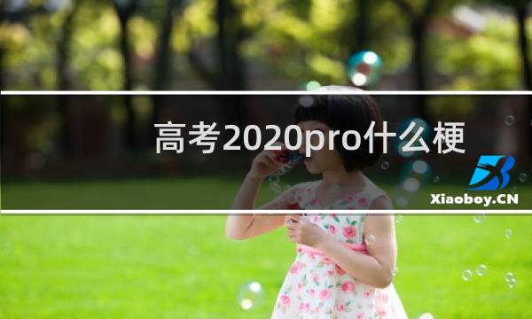 高考2020pro什么梗