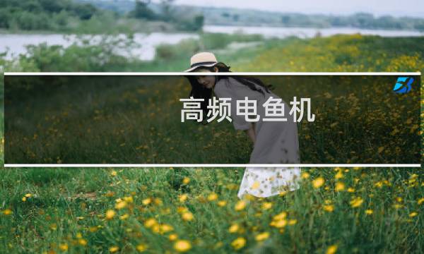 高频电鱼机