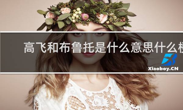 高飞和布鲁托是什么意思什么梗