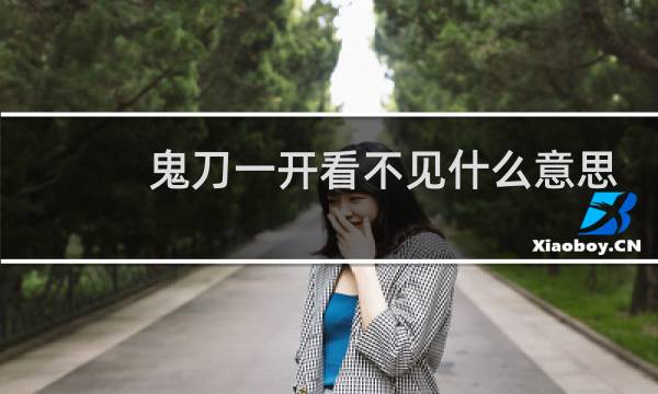 鬼刀一开看不见什么意思，是什么装备什么梗