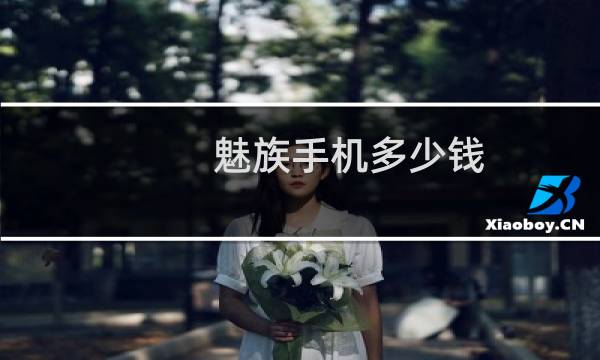 魅族手机多少钱?
