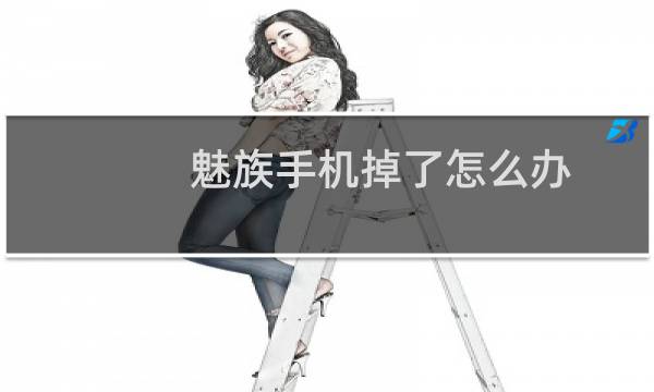 魅族手机掉了怎么办