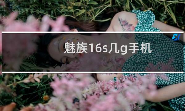 魅族16s几g手机