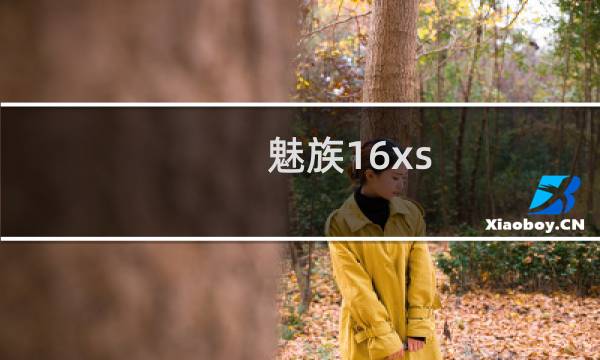 魅族16xs 轻旗舰（魅族16防水吗）图片