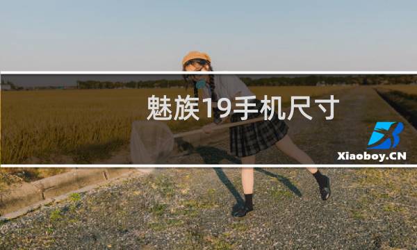 魅族19手机尺寸