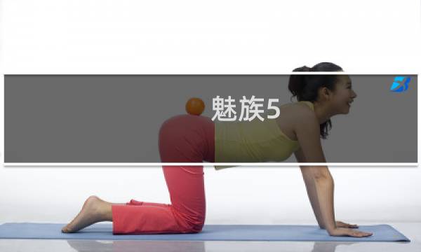 魅族5.0寸手机