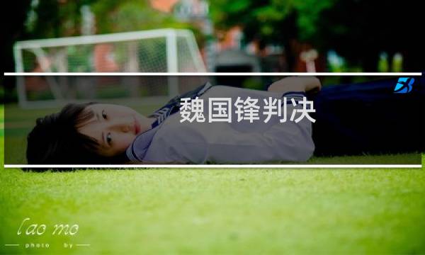 魏国锋判决（魏国名将）