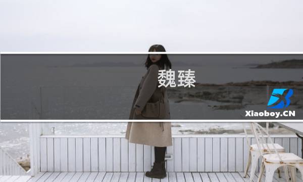 魏臻(魏臻嫁给王迅熬过穷和苦，为什么婚姻惨淡收场?)